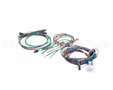M237478 Moffat Harness