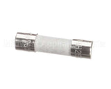 M8593 Blodgett Fuse, Export, 10 Amp
