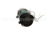 MS431 Globe Knife Motor