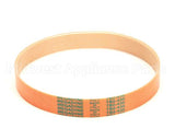 MS51 Globe Drive Belt