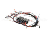 NGC-1150-1.E Turbochef Wire Harness, Line Vtg, 1Ph