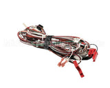 NGC-1418-2 Turbochef Harness, Low Voltage, International Oven