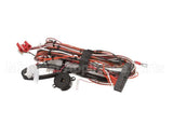 NGC-1464-1.C Turbochef Harness, Low Voltage, (1 Left Side Door