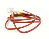 NT1097 Groen Thermocouple, Assb, Electric Intek Steam