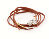 NT1097 Groen Thermocouple, Assb, Electric Intek Steam