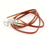 NT1097 Groen Thermocouple, Assb, Electric Intek Steam