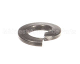 NT1216 Groen Lock Washer- Lock 1/4 Ss