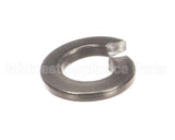NT1216 Groen Lock Washer- Lock 1/4 Ss