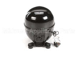 P00025-01 Hoshizaki Compressor (Qa125K29