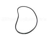 P00957 Globe Lower Motor Belt