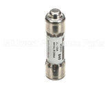 P01490 Globe Fuse (2A/600V)