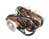 P058462CWH Hillphoenix Cord Outlet Fema