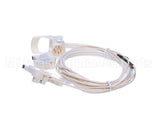 P065451HWH Hillphoenix Wire Harness W/Tombstone Plug