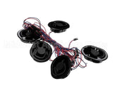 P096377KBK Hillphoenix 5-Rcpt. Harness