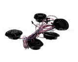 P096377KBK Hillphoenix 5-Rcpt. Harness