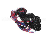 P096378GBK Hillphoenix Harness