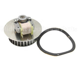 P332558 Williams Comfort Products 115V Combustion Motor/Wheel