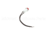 P49-6295 Stero Dishwasher Red Pilot Light Ir 28V