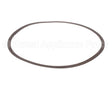 P58542 Xylem-Bell & Gossett Adapt Ring Gasket