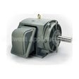 P8008R Teco Medium Voltage Motor