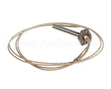 PA045 Cookshack Igniter