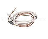 PD62398 Rosito Bisani High Btu Thermocouple