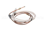 PD62398 Rosito Bisani High Btu Thermocouple