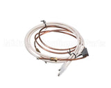 PD62398 Rosito Bisani High Btu Thermocouple