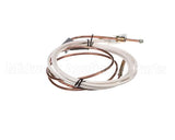 PD62398 Rosito Bisani High Btu Thermocouple