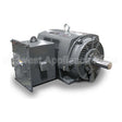 PG17504 Teco Medium Voltage Motor