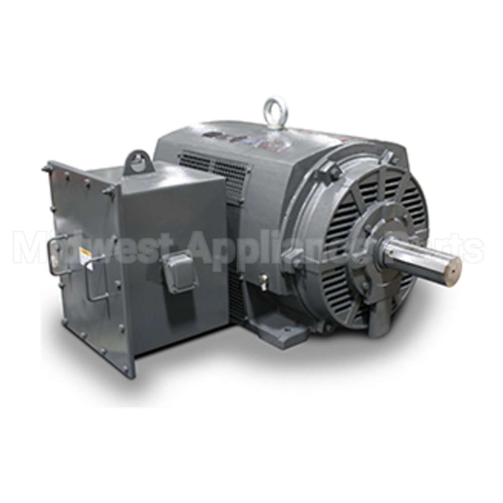 PG5004 Teco Medium Voltage Motor