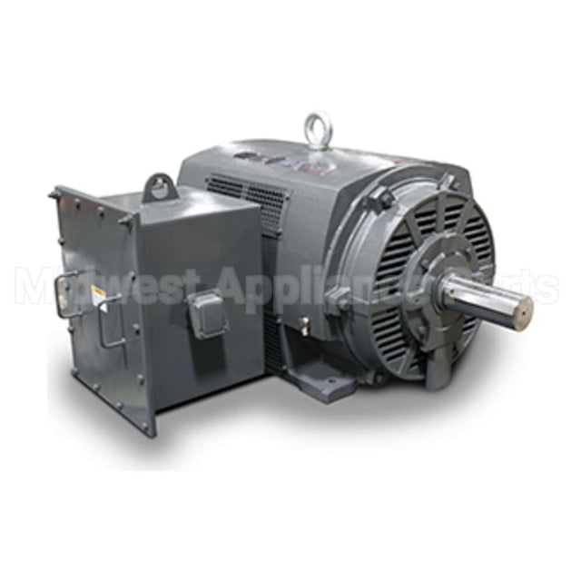 PG8006 Teco Medium Voltage Motor