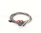 PI502116 Follett Sensor, Water