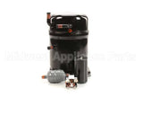 PI502731 Follett Compressor, L400