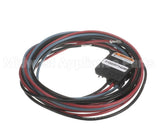 PLU1177 Trane Plug; Scroll Compressor