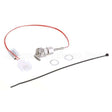 PS2040 Compatible Winston Probe, Thermistor