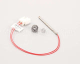 PS2177 Winston Water Probe