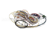 PS2977 Winston Harness Complete Ha4522