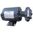 PT60130806 Compatible Pitco Pump Assembly
