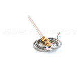 R02.01.074.00 Hatco Kit,Thermostat Probe 36X7Ss Cap