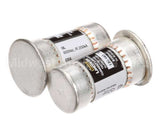 R02.03.015.02 Hatco Kit,Fuse 60A 600V-2 Pack