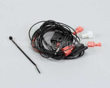 R02.13.346.00 Hatco Kit,Prox Switches-Fsd & Fdwd