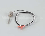 R02.16.069.00 Hatco Kit,Temp.control Probe,Pmg's