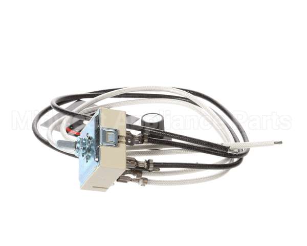 R02.19.160.00 Hatco Kit,100V Infinite Switch&Leads