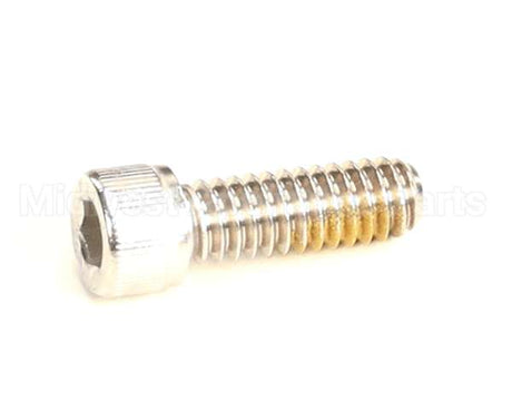 R11105 Blodgett Screw,Cap 1/4-20 X .75 Skthd
