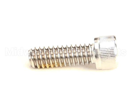 R11105 Blodgett Screw,Cap 1/4-20 X .75 Skthd