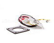 R3141 Blodgett Level Probe Assembly, Short