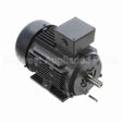 R317A Marathon Motor