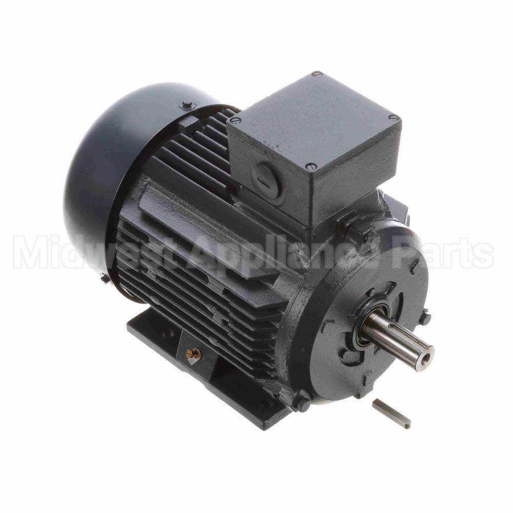 R317A Marathon Motor