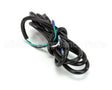 R496 Robot Coupe Cord W/Plug (R4X,S,P,Y)